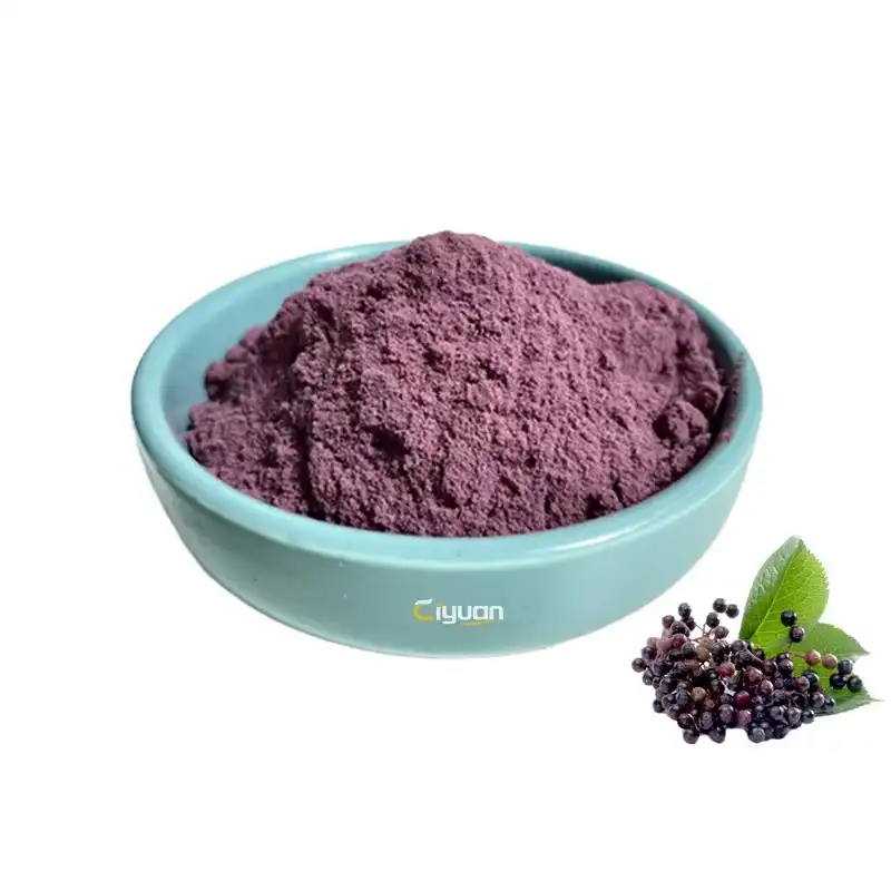 Elderberry Extract Bulk